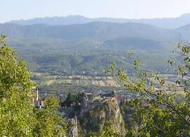Charming Vineyard Escape