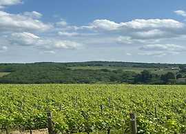 Charming Vineyard Escape