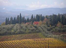 Charming Vineyard Escape