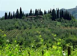 Charming Vineyard Escape