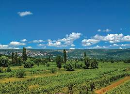 Charming Vineyard Escape