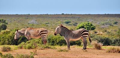 De Hoop Vlei Cottages