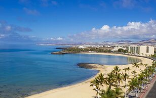 Plus Fariones Habitat