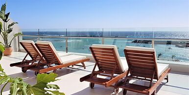 Plus Fariones Habitat