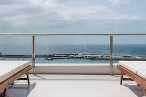 Plus Fariones Habitat