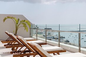 Plus Fariones Habitat