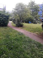 Fox-box Apt. Dresden