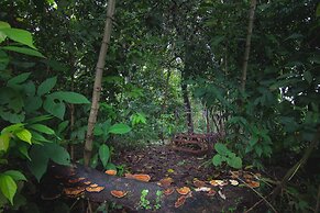 La Cotinga Biological Station