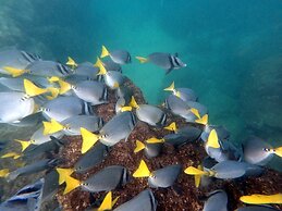 Hotel Galapagos Suites