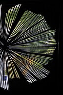 Valle Vista Luxury Apartments