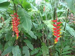 Zen Villa # 1 - Three Bedroom Luxury Villa With Private Garden, Playa 