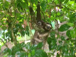 Zen Villa # 1 - Three Bedroom Luxury Villa With Private Garden, Playa 