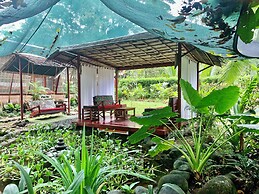 Zen Villa # 1 - Three Bedroom Luxury Villa With Private Garden, Playa 