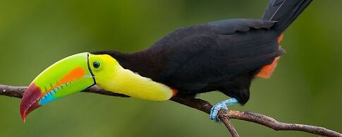 Zen Villa # 1 - Three Bedroom Luxury Villa With Private Garden, Playa 