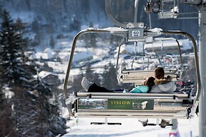 Vislow Resort