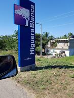 Bungalows Las Margaritas 10