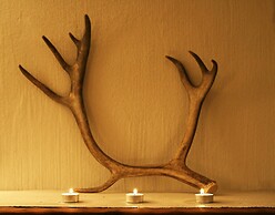 Vuokatinmaa Holiday Apartments