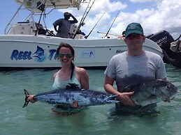 Villa - Right on the Beach, Under the Coconut Trees, Sleeps 10, Pool, 