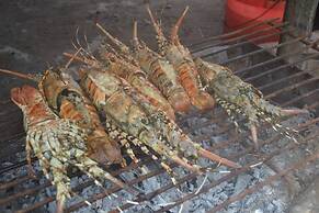 Villa - Right on the Beach, Under the Coconut Trees, Sleeps 10, Pool, 