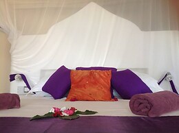 Villa - Right on the Beach, Under the Coconut Trees, Sleeps 10, Pool, 