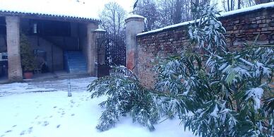 Loft Dell'artista Eclettico, Originale, Unico