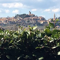 Borgo Santa Lucia, Casa Legnaia