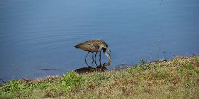 Lake View Classic 3 Bedroom Condo by RedAwning