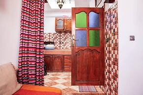 The Little Seagull 2