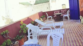 The Little Seagull 2