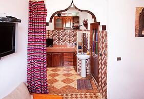 The Little Seagull 2