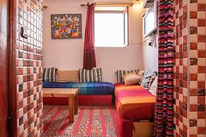 The Little Seagull 2