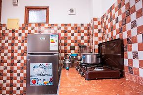 The Little Seagull 2