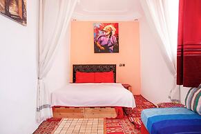 The Little Seagull 2