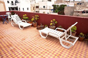 The Little Seagull 2