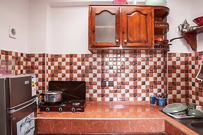 The Little Seagull 2