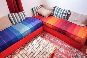 The Little Seagull 2