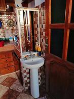 The Little Seagull 2