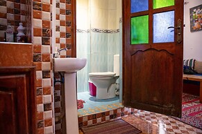 The Little Seagull 2