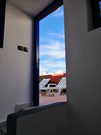 The Little Seagull 2