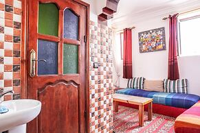 The Little Seagull 2