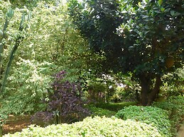 Soho Greens Apartment 4