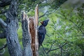Chalten Camp - Glamping With A View