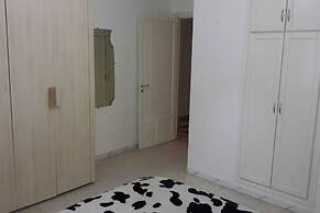 Rent Apartment F4 Richly Furnished In Tunis