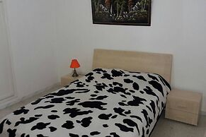 Rent Apartment F4 Richly Furnished In Tunis