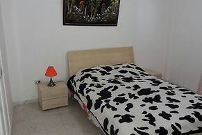 Rent Apartment F4 Richly Furnished In Tunis