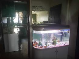 Furnished Apartment in the City Center and Close to the sea