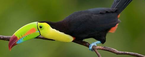 Villa 4 - Amazing 2 Bed Villa With Private Garden