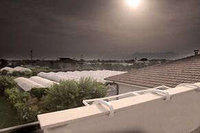 Rilassante E Indipendente- La Rondinella -detacha