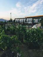 Rancho El Matalote