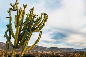Rancho El Matalote